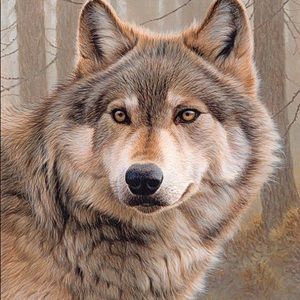 Meet your Posher, Ashlynn